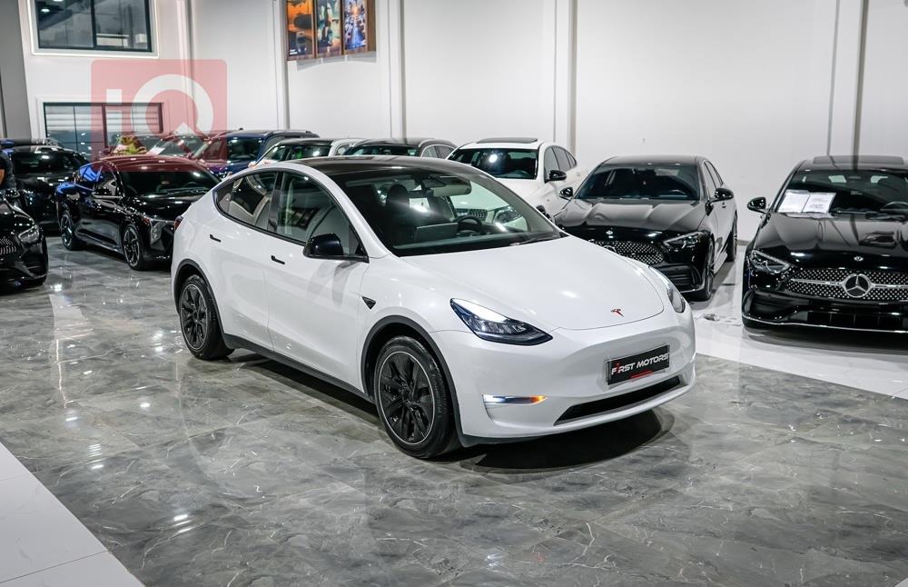 تسلا موديل Y